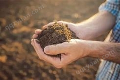 广州土壤环境检测 土壤污泥物指标检测