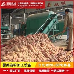 薯类淀粉生产线 淀粉生产设备 大型办厂流水线生产 丽星机械制造供应