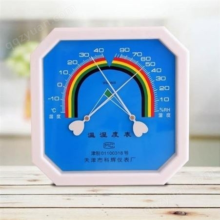 测量仪器  温湿度表 MYYQ 测量空气中湿度大小