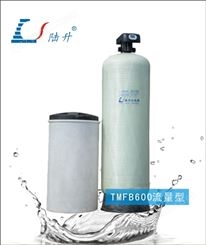 锅炉软化水设备TMFB600