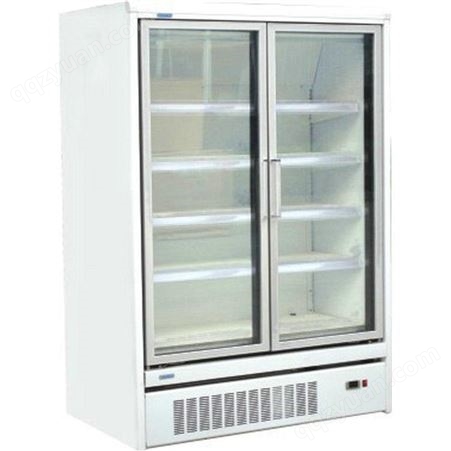 雪迎商用自携玻璃门柜冷冻饮料展示柜鲜奶蔬菜冷冻水展示柜 自携立式风幕柜