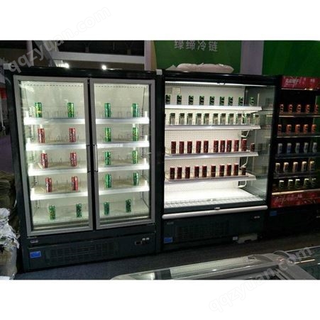 雪迎商用自携玻璃门柜冷冻饮料展示柜鲜奶蔬菜冷冻水展示柜 自携立式风幕柜