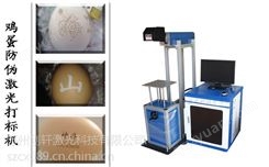 供应洪泽县创轩CX型土鸡蛋激光打标机，土鸡蛋表面激光打标刻字厂家