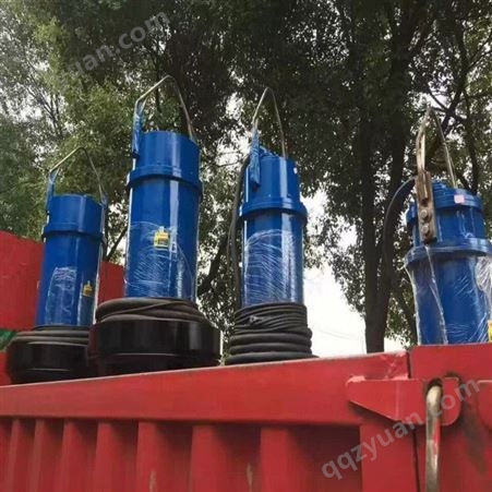 天津大流量污水泵-高扬程潜水轴流泵东坡泵业