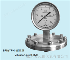布莱迪 BFN(YPN) 耐震型防腐膜片压力表