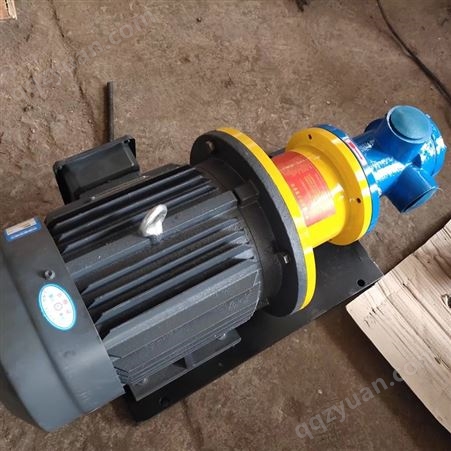 供应NYP型磁力高粘度转子泵 高粘度泵  食品泵适用高粘度场合