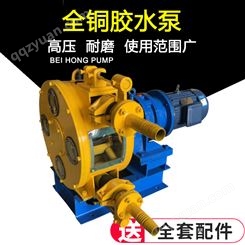 生产RGB32工业软管泵 水泥发泡机蠕动泵 耐磨橡胶泵