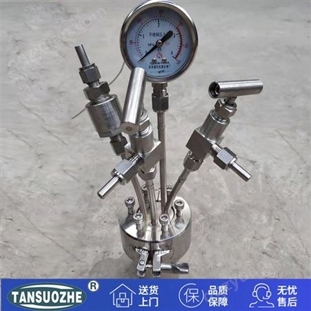 TSZ-3C/D-3L型号实验室反应釜设备 新型油加热反应釜 多功能台式高压反应釜