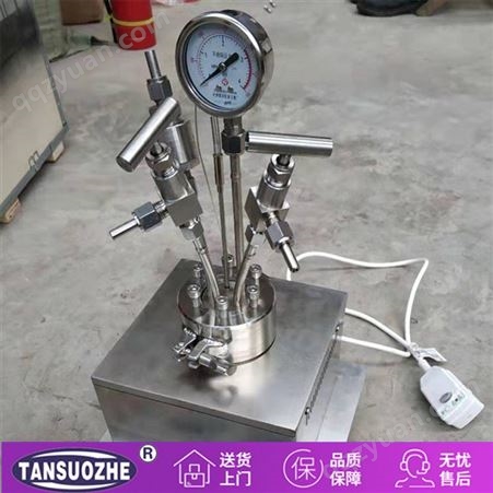 郑州厂家直供 磁力搅拌高温高压反应釜 TSZ-3C/D-0.25型号实验室仪器电热反应釜