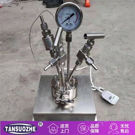 小型电加热高压反应釜 TSZ-3C/D-1L型号 新型台式反应釜 多功能反应釜
