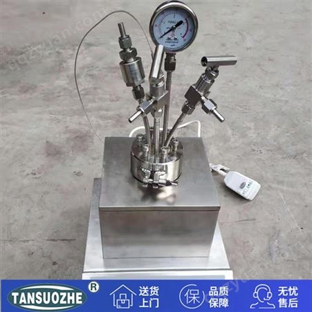 TSZ-3C/D-3L型号实验室反应釜设备 新型油加热反应釜 多功能台式高压反应釜