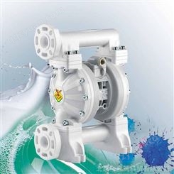 意大利RAASM隔膜泵2A3/1677NH5泵65L/min流量