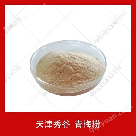 供应青梅粉天津秀谷青梅提取物粉青梅果固体粉20kg/箱果蔬粉