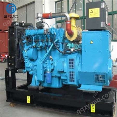 蓝光50kw沼气发电机组 污水处理厂300千瓦燃气发电机