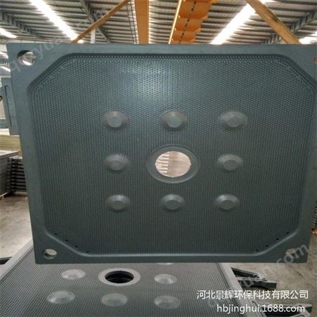 厂家1500型聚丙烯滤板 板框压滤机滤板 污水处理