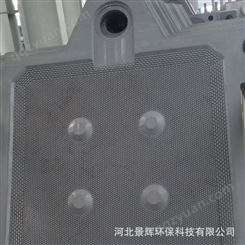 景辉 厢式滤板 厢式聚丙烯滤板 压滤机厢式聚丙烯滤板 原产地 发售