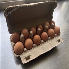 12枚鸡蛋保护托-卓尔纸塑-出售批发