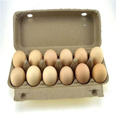 鸡蛋保护托-卓尔纸塑-厂家订购出售