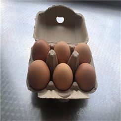 6枚鸡蛋保护托-卓尔纸塑-出售