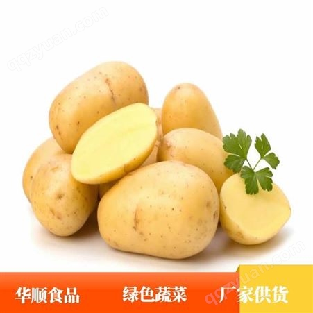 大土豆 可作为食材 用于电商售卖 蔬菜产地供应 华顺食品