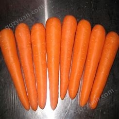 速冻萝卜 新鲜萝卜丁 质量保证 可大量批发