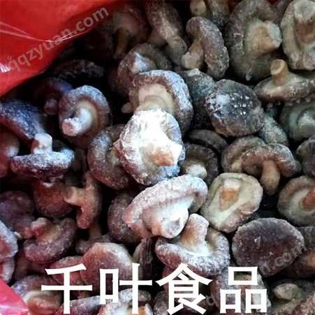 马鞍山出口级香菇丁 食用菌 优质小香菇