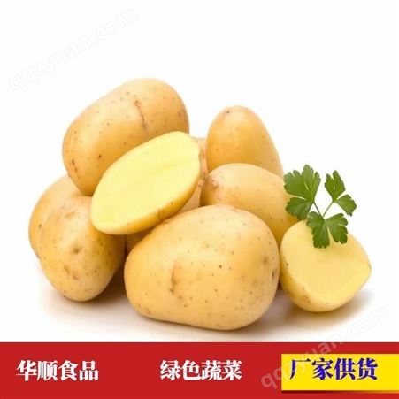 水洗土豆 基地生产供货 大马铃薯厂家现货 华顺食品