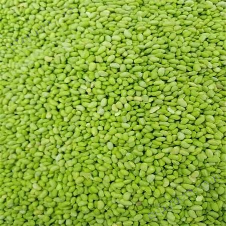 绿拓食品农家自种新鲜长豆角 成品豇豆段出售干净卫生消毒