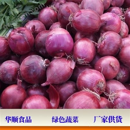 红圆葱头黄皮洋葱 市场可售卖 蔬菜厂家供货 华顺食品