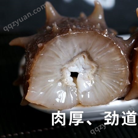 滋参堂 国标纯淡干海参干货  30-80头/斤 新鲜水产 泡发即食