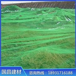 献县国昌供应 安全网 绿色安全防护网 加工阻燃安全网