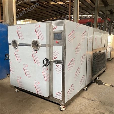 冷冻干燥机 食品水果冻干机 大型真空冻干设备