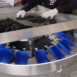 海蛎子称重分选机 全自动称重分拣机 圆葱分选机 不锈钢材质