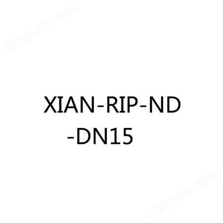 费斯托三联件CN_CS.3123085.01.A .01PL 单元XIAN-RIP-ND-DN15