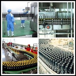 铁皮石斛饮料加工设备 1-20T果蔬饮料整套生产线 ZYL提供工艺设计