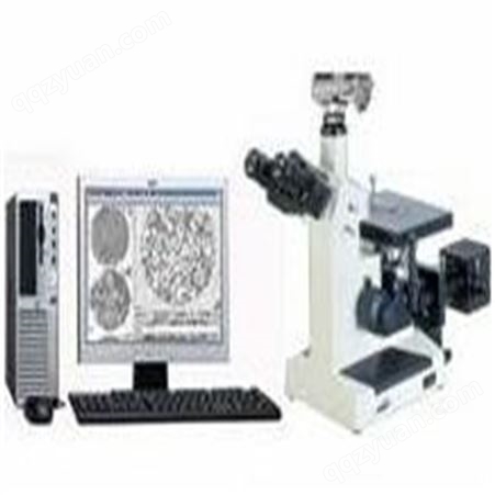 硬质合金金相检测  现场金相分析仪 铸件金相显微镜  金相显微镜GQ-300