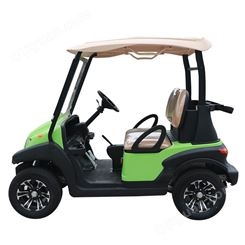 益高电动 高尔夫球车EG202AH 贵宾接待车 2座电动高尔夫球车 欢迎