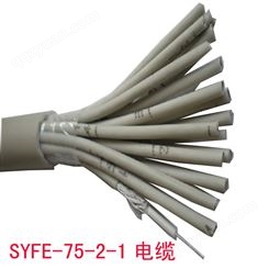 SYFE-75-2-1X8电缆 现货批发 交换机配线 两兆电缆