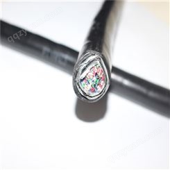 信号电缆 机车电缆 PTYA9*1 现货供应 国标价格