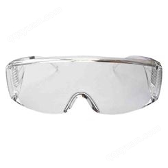 霍尼韦尔100002OTG聚碳酸酯防冲击防雾访客防护眼镜 防坠器