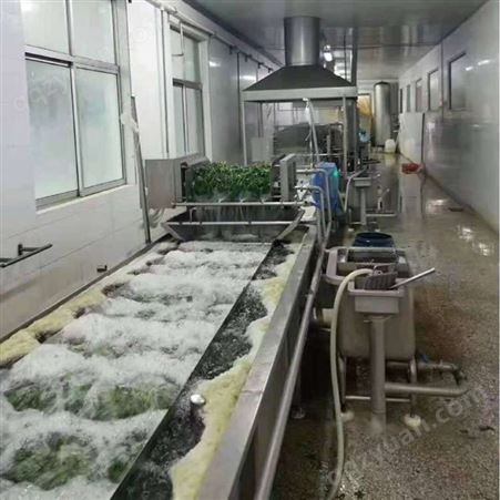 蘑菇气泡清洗机 嘉泽隆QX-5000型气泡式蔬菜清洗机 全自动臭氧果蔬清洗机