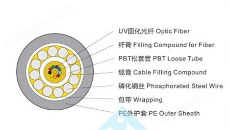 安徽天康 钢丝屏蔽2-12芯中心缩管式光缆GYXTY