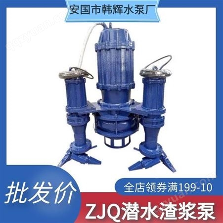 ZJQ大型立式潜水渣浆泵 搅拌式船用泵 高铬耐磨渣浆泵 韩辉