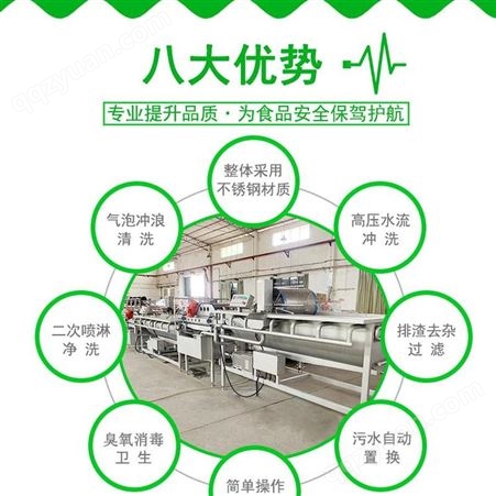 广州九盈机械净菜生产线 解决净菜加工中的蔬菜挑拣 切分 清洗机
