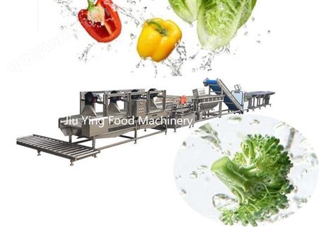 广州九盈机械净菜生产线 解决净菜加工中的蔬菜挑拣 切分 清洗机