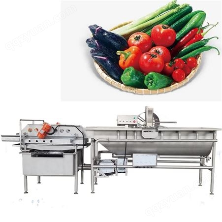 九盈机械涡流旋流果蔬清洗机 JY-4200净菜加工生产线 商用洗菜机