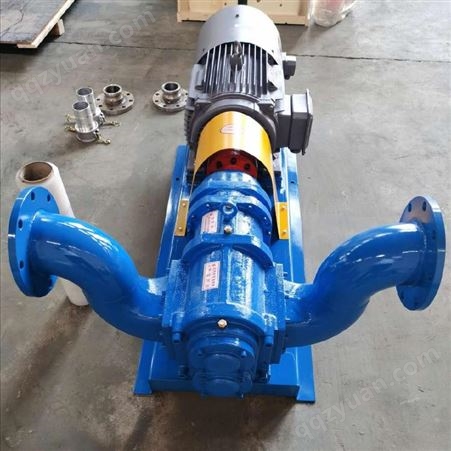 驰通异形定制凸轮高粘度泵 不锈钢转子泵 转子泵输送高浓度物料泵