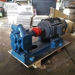 驰通厂家生产KCB-200型不锈钢齿轮泵 小型增压泵 高粘度抽油泵