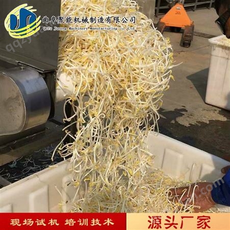 家用不锈钢小型豆芽机 北京全自动豆芽机 自动生产豆芽机