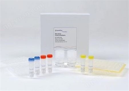 病原菌检测试剂盒，PCR试剂盒，病原菌ELISA试剂盒